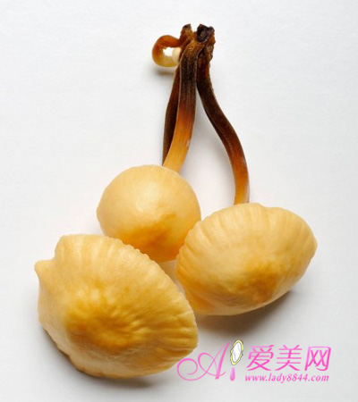  常吃6种菌类食品 提高免疫力 有益身体健康 